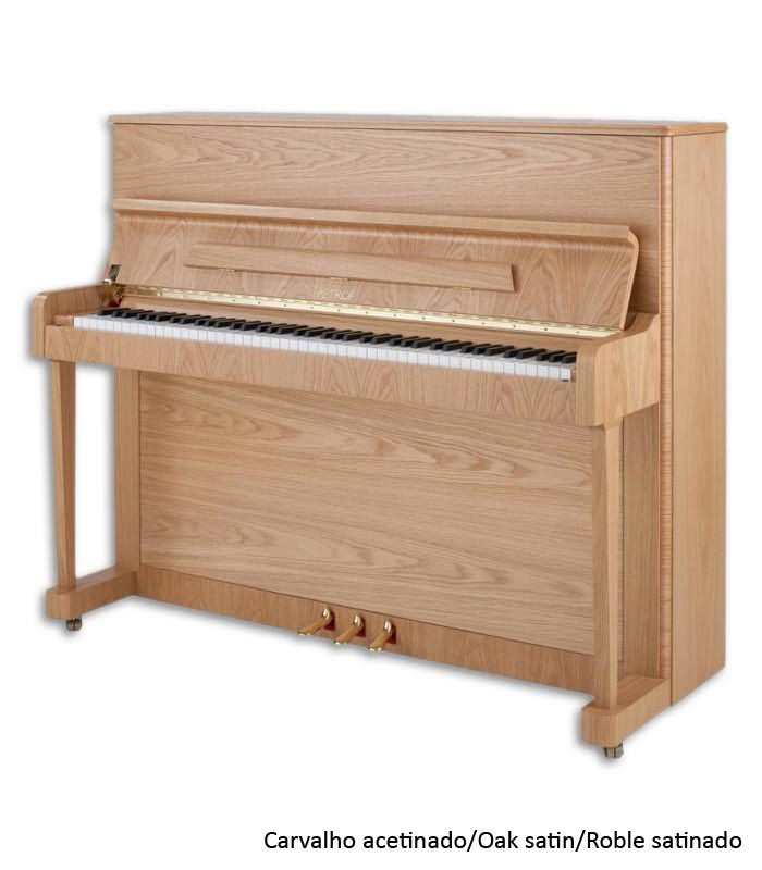 Petrof P118 P1 Middle Series| Upright piano | Salão Musical 