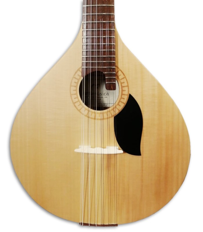 Portuguese Guitar Artimúsica GPBASECCAD Coimbra Model Linden Top Acacia  Bottom