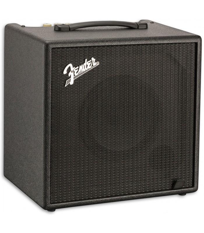 bass amp 25w