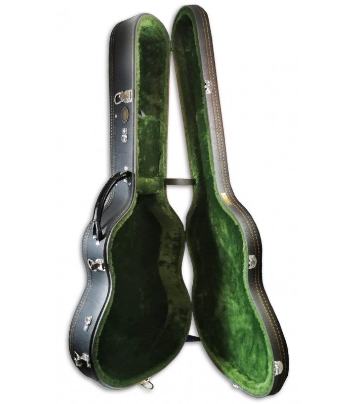 alhambra guitar case