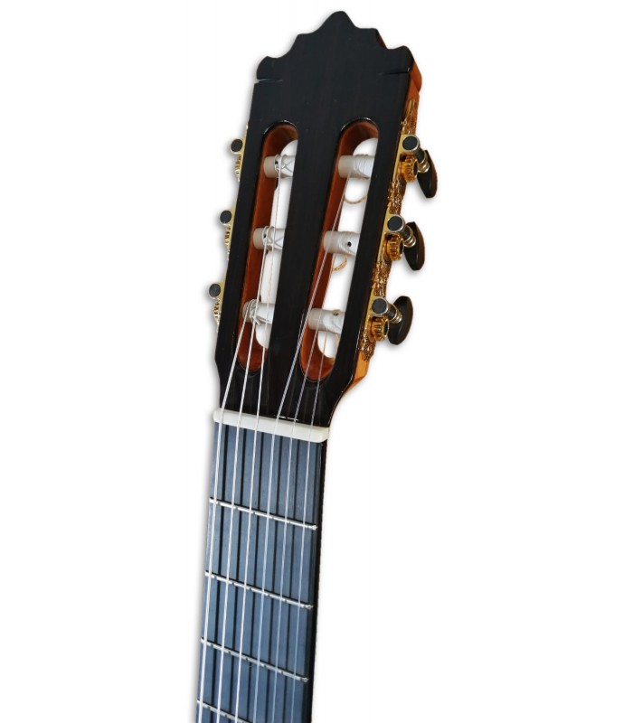 rj classical guitar