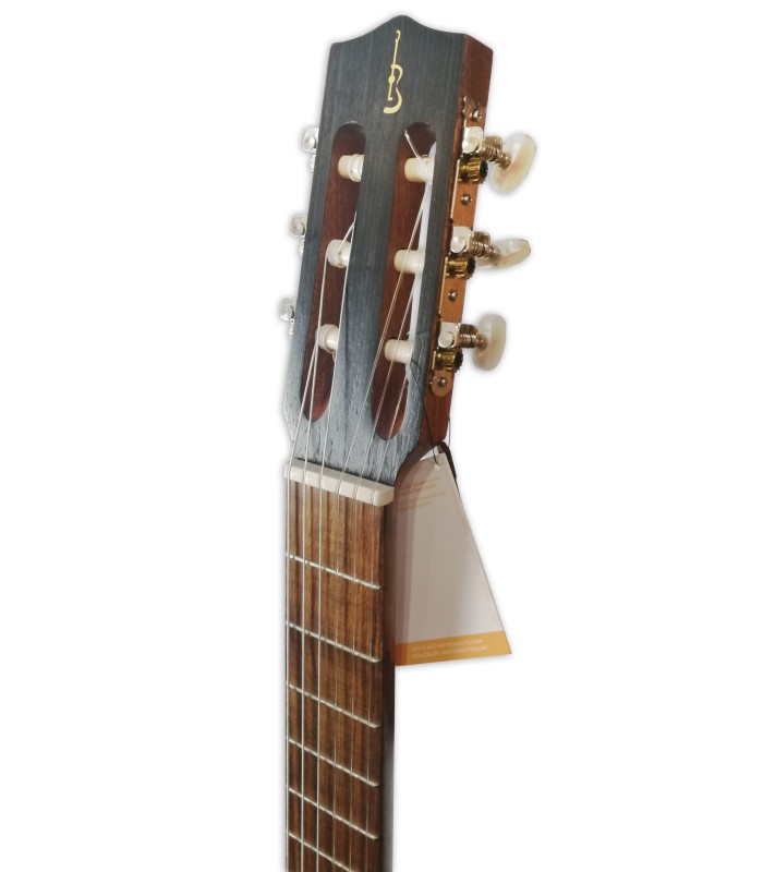 APC LUTG306 Spruce Walnut | Guitar Lute | Salão Musical - Musical Hall